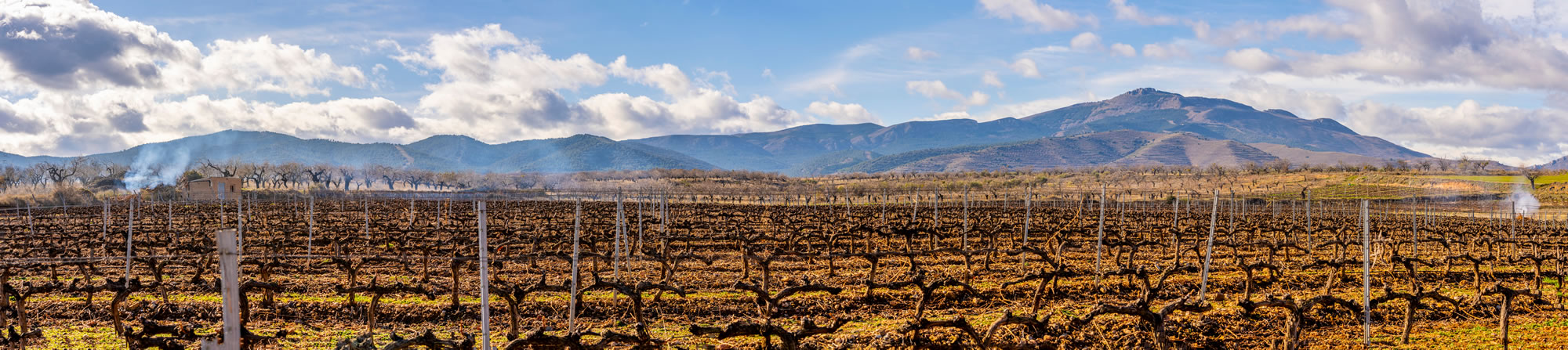 Région viticole: Espagne