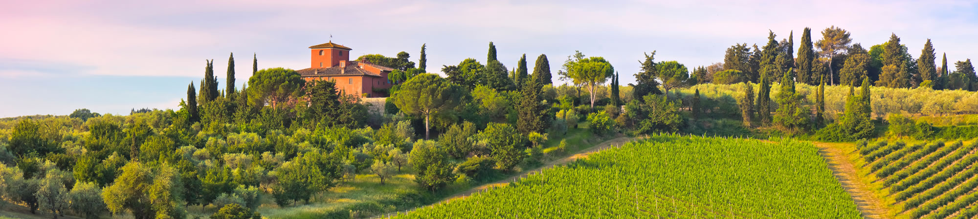 Région viticole : Italie