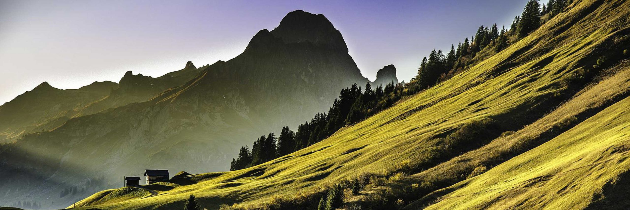 savoie bugey vignoble