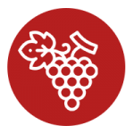 Sélection de vins