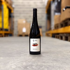 pinot noir bocksberg