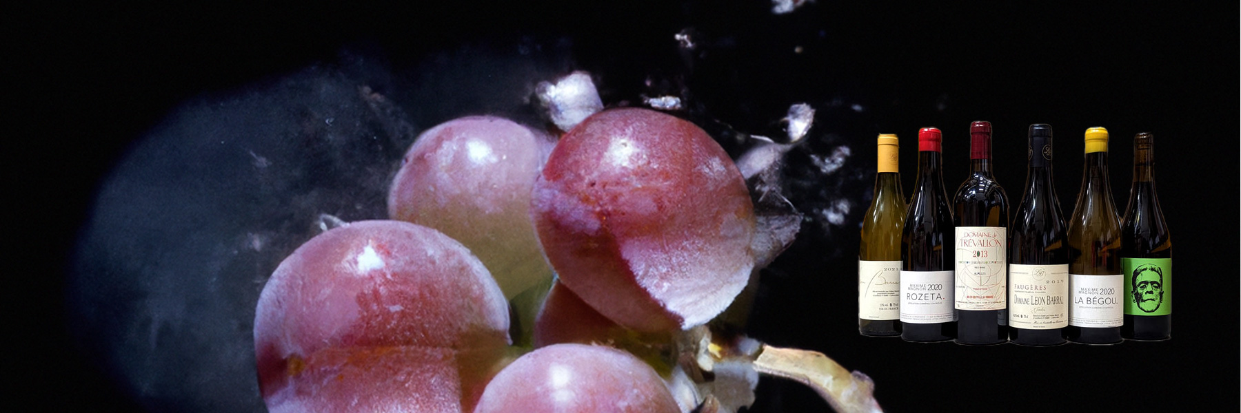 Vin nature, qu’est-ce qu’un vin nature ?