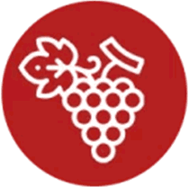 Sélection de vins 100% originale