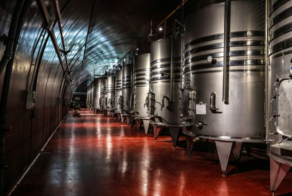 vinification en cuve inox