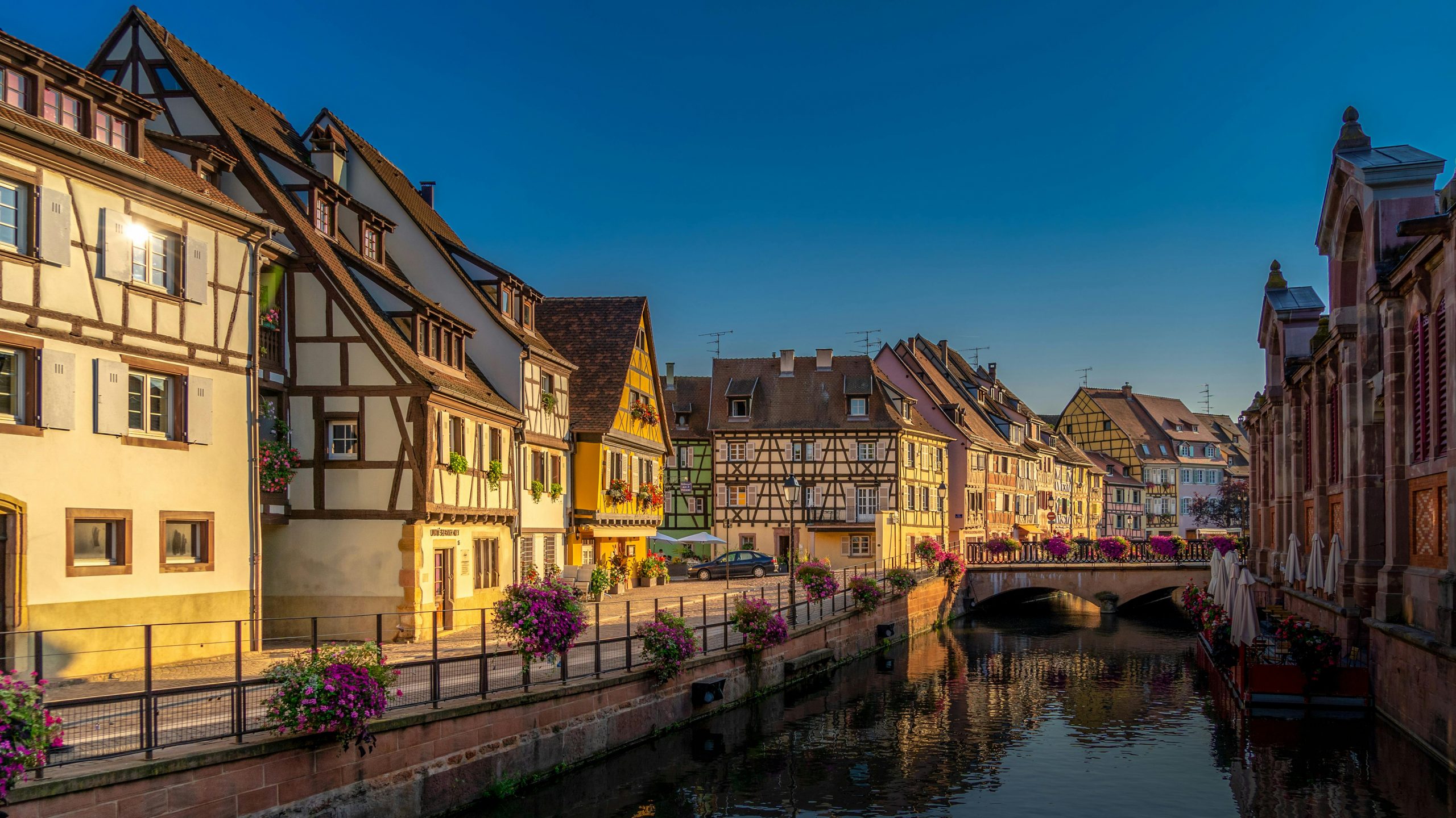 La route des vins en Alsace : Un voyage au cœur des vignobles