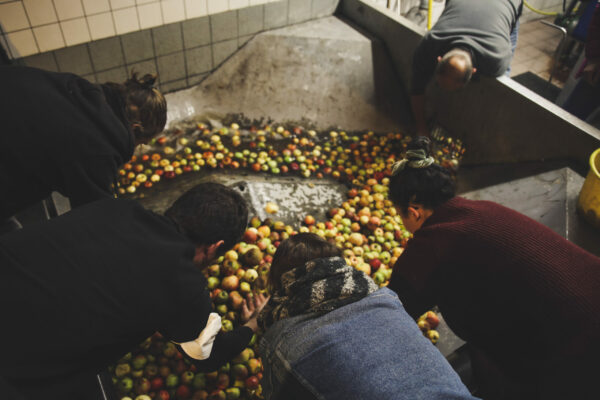 cidre